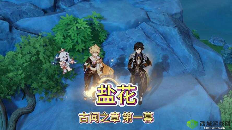 原神盐花任务怎么做？